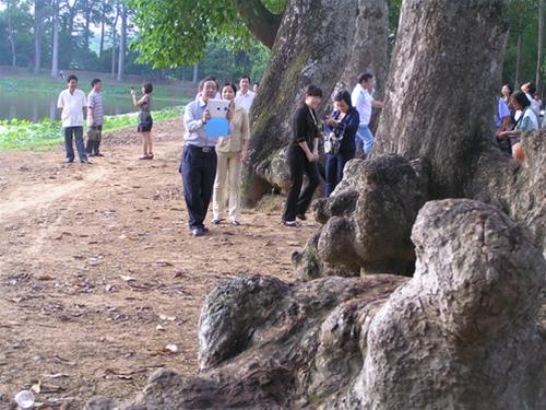 Trà Vinh êm đềm