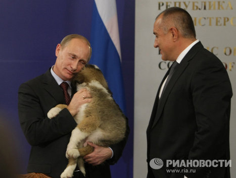 Ông Putin nhận món quà là một chú chó từ Thủ tướng Bulagria Boyko Borisov năm 2010.