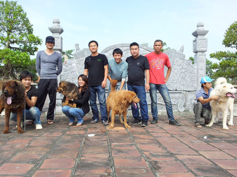 8X kinh doanh trại chó Ngao Tạng bạc tỷ