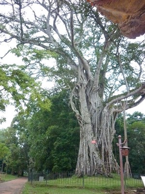 Về Thanh Hóa thăm di tích Lam Kinh