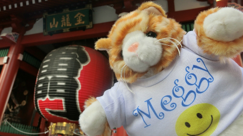 Mèo Meggy được chụp hình bên ngoài một nhà hàng ở Tokyo. Chủ của Meggy cho biết mèo của anh ăn chay nên chắc chắn không đụng đến miếng sushi nào. Ảnh: Pri