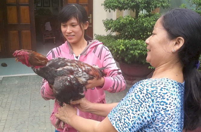 Làm giàu từ câu hỏi tại sao nghèo